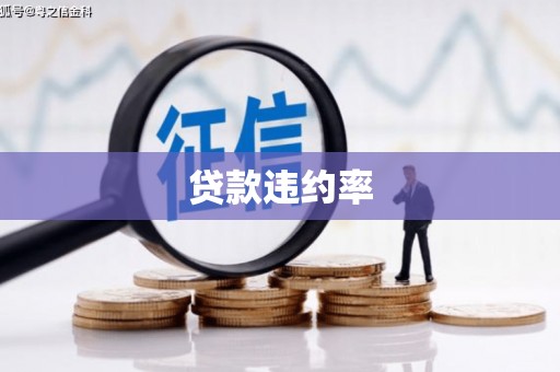偃师贷款违约率