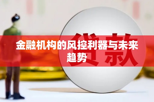 偃师金融机构的风控利器与未来趋势