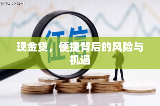 偃师现金贷，便捷背后的风险与机遇