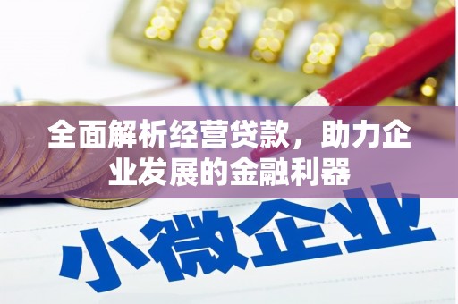 偃师全面解析经营贷款，助力企业发展的金融利器