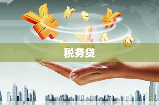 偃师税务贷