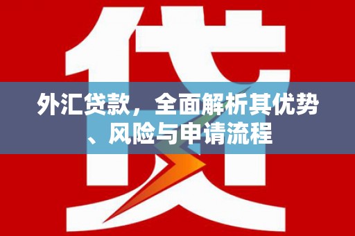 偃师外汇贷款，全面解析其优势、风险与申请流程