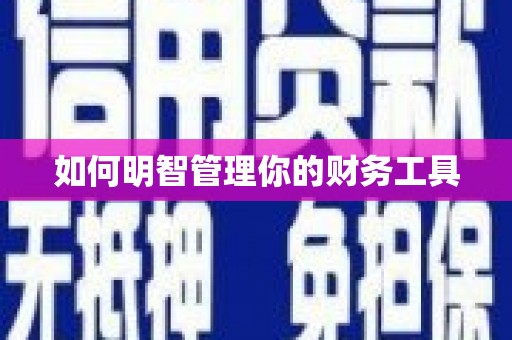 偃师如何明智管理你的财务工具