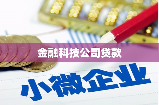 偃师金融科技公司贷款