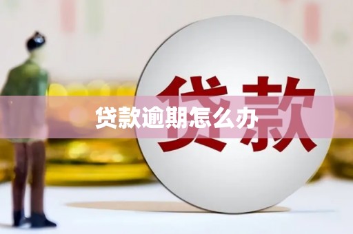 偃师贷款逾期怎么办