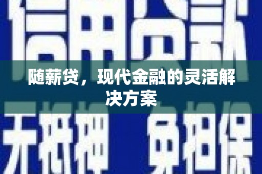 偃师随薪贷，现代金融的灵活解决方案