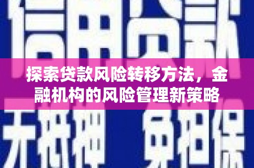 偃师探索贷款风险转移方法，金融机构的风险管理新策略