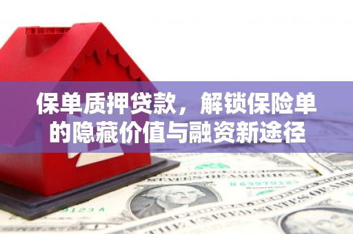 偃师保单质押贷款，解锁保险单的隐藏价值与融资新途径
