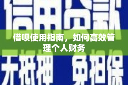 偃师借呗使用指南，如何高效管理个人财务