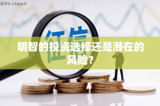 偃师明智的投资选择还是潜在的风险？