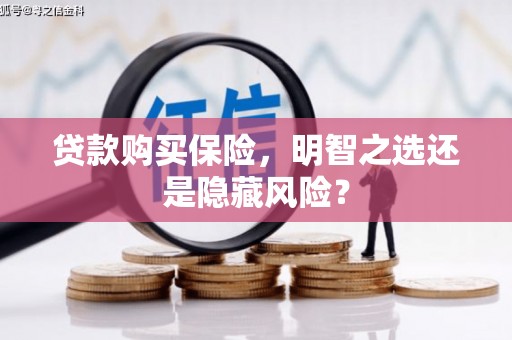 偃师贷款购买保险，明智之选还是隐藏风险？