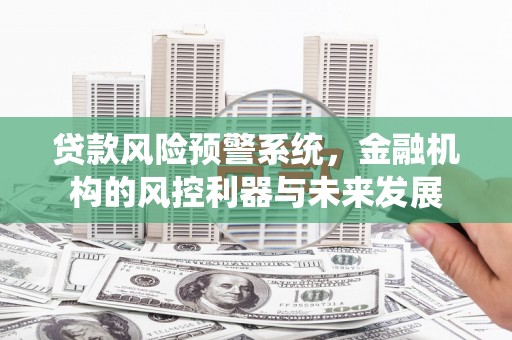 偃师贷款风险预警系统，金融机构的风控利器与未来发展
