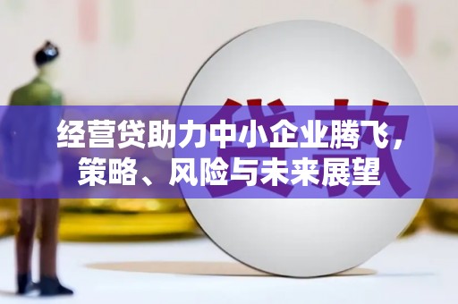 偃师经营贷助力中小企业腾飞，策略、风险与未来展望