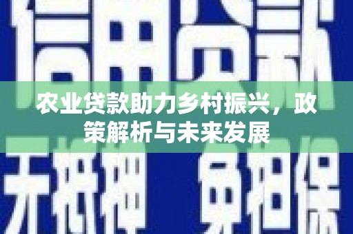 偃师农业贷款助力乡村振兴，政策解析与未来发展