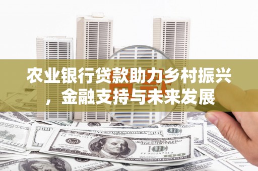 偃师农业银行贷款助力乡村振兴，金融支持与未来发展