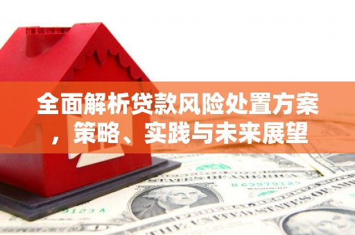 偃师全面解析贷款风险处置方案，策略、实践与未来展望