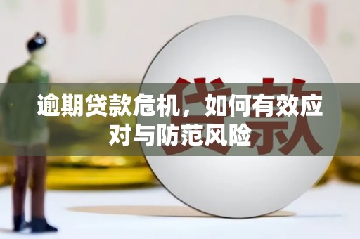 偃师逾期贷款危机，如何有效应对与防范风险
