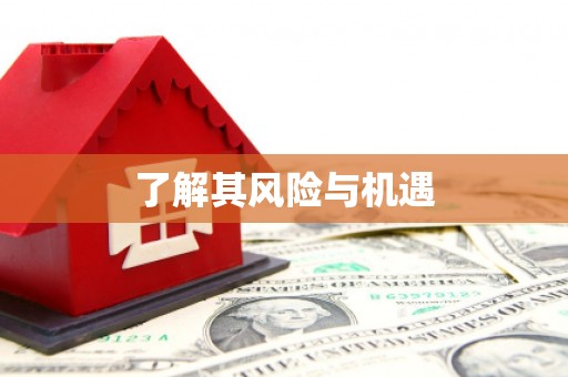 偃师了解其风险与机遇