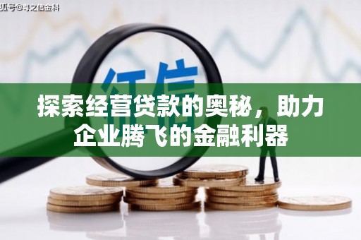 偃师探索经营贷款的奥秘，助力企业腾飞的金融利器