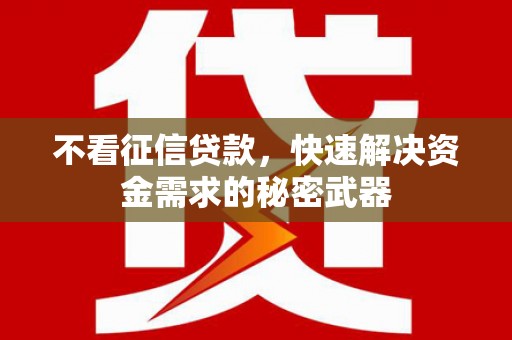 偃师不看征信贷款，快速解决资金需求的秘密武器