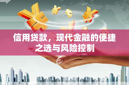 偃师信用贷款，现代金融的便捷之选与风险控制