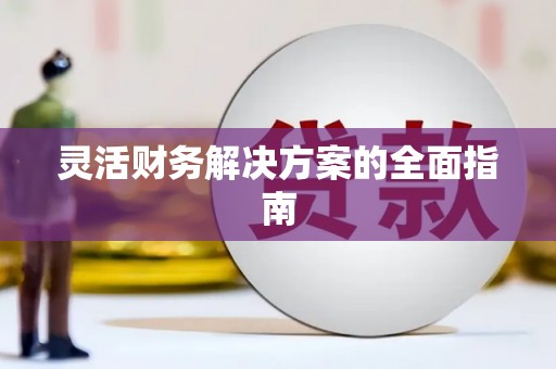偃师灵活财务解决方案的全面指南