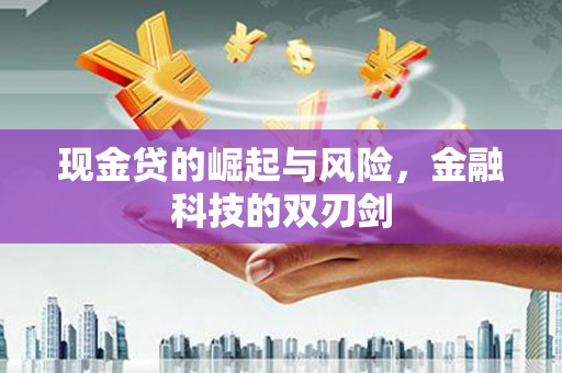 偃师现金贷的崛起与风险，金融科技的双刃剑