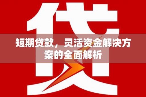 偃师短期贷款，灵活资金解决方案的全面解析
