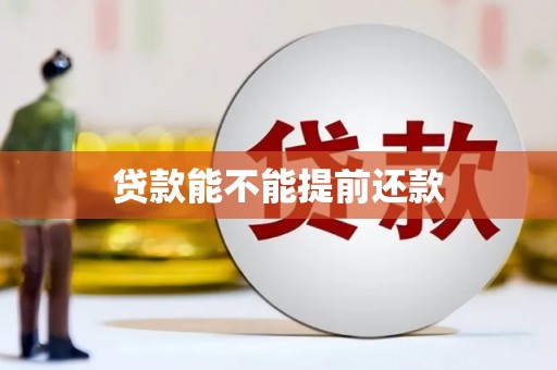 偃师贷款能不能提前还款