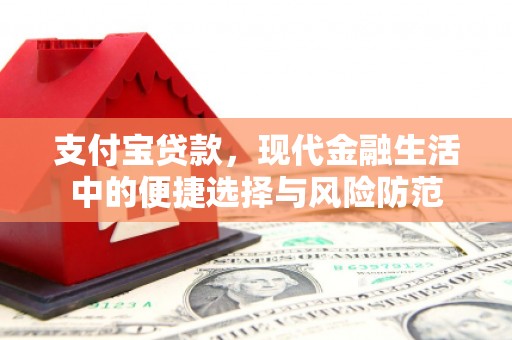 偃师支付宝贷款，现代金融生活中的便捷选择与风险防范