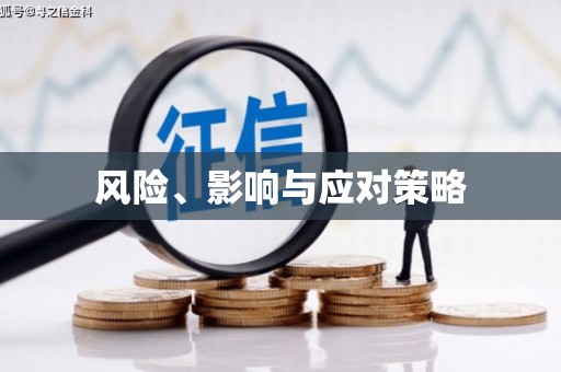 偃师风险、影响与应对策略