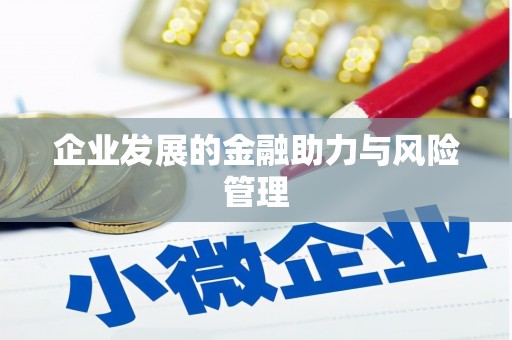 偃师企业发展的金融助力与风险管理