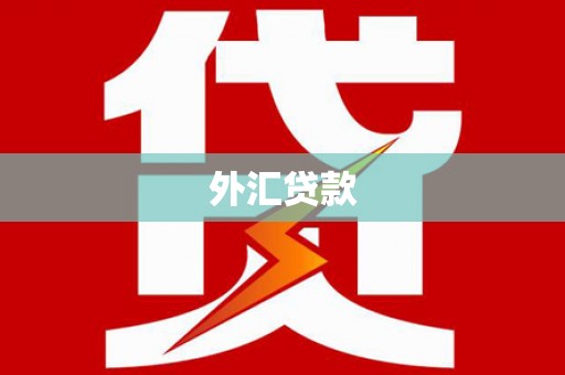 偃师外汇贷款