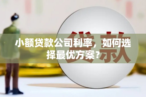 偃师小额贷款公司利率，如何选择最优方案？