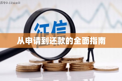 偃师从申请到还款的全面指南