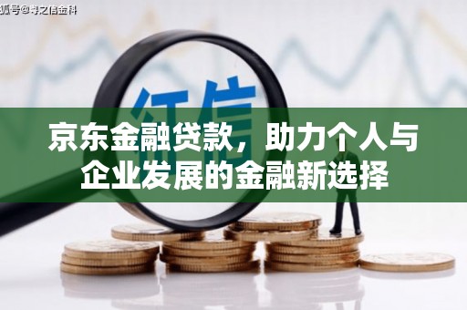 偃师京东金融贷款，助力个人与企业发展的金融新选择