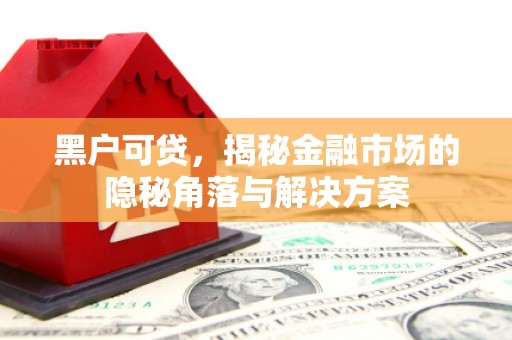 偃师黑户可贷，揭秘金融市场的隐秘角落与解决方案