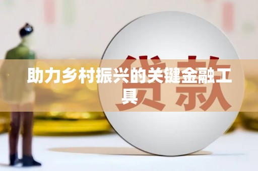 偃师助力乡村振兴的关键金融工具