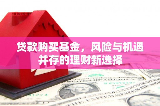 偃师贷款购买基金，风险与机遇并存的理财新选择