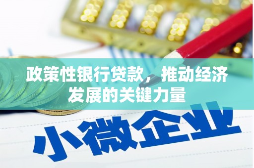 偃师政策性银行贷款，推动经济发展的关键力量