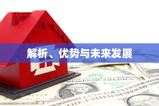 偃师解析、优势与未来发展