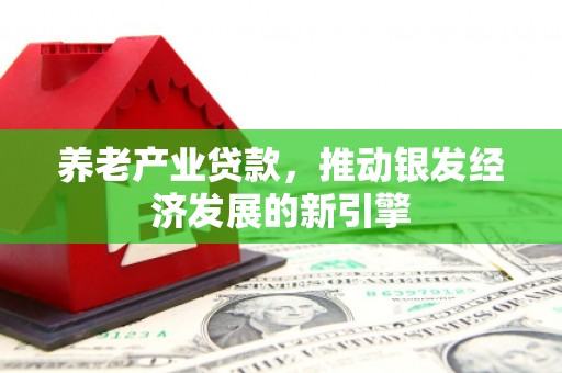 偃师养老产业贷款，推动银发经济发展的新引擎