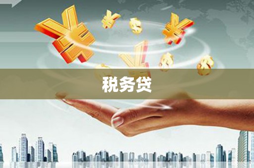 偃师税务贷