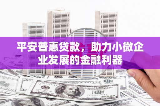 偃师平安普惠贷款，助力小微企业发展的金融利器