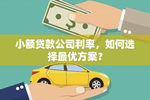 偃师小额贷款公司利率，如何选择最优方案？