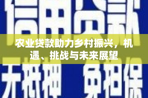 偃师农业贷款助力乡村振兴，机遇、挑战与未来展望