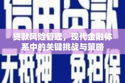 偃师贷款风险管理，现代金融体系中的关键挑战与策略