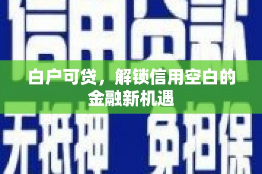 偃师白户可贷，解锁信用空白的金融新机遇
