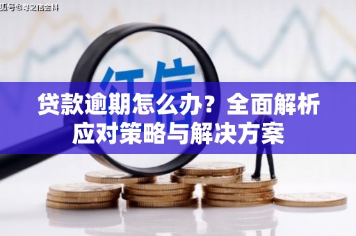 偃师贷款逾期怎么办？全面解析应对策略与解决方案
