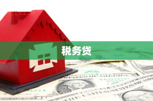 偃师税务贷